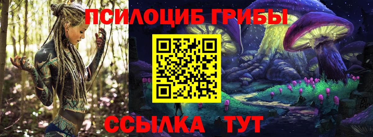Екатеринбург  сколько стоит  Вход с VPN  Псилоцибиновые грибы прущие грибы 