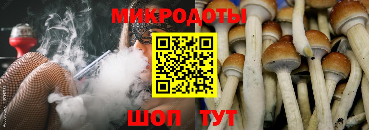 Галлюциногенные грибы Cubensis Екатеринбург